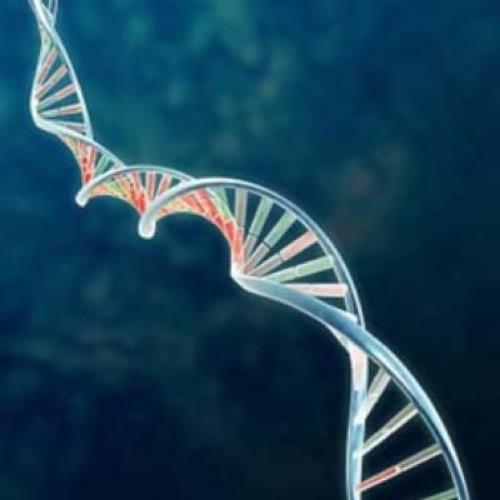 Gene therapy found effective in hemophilia B